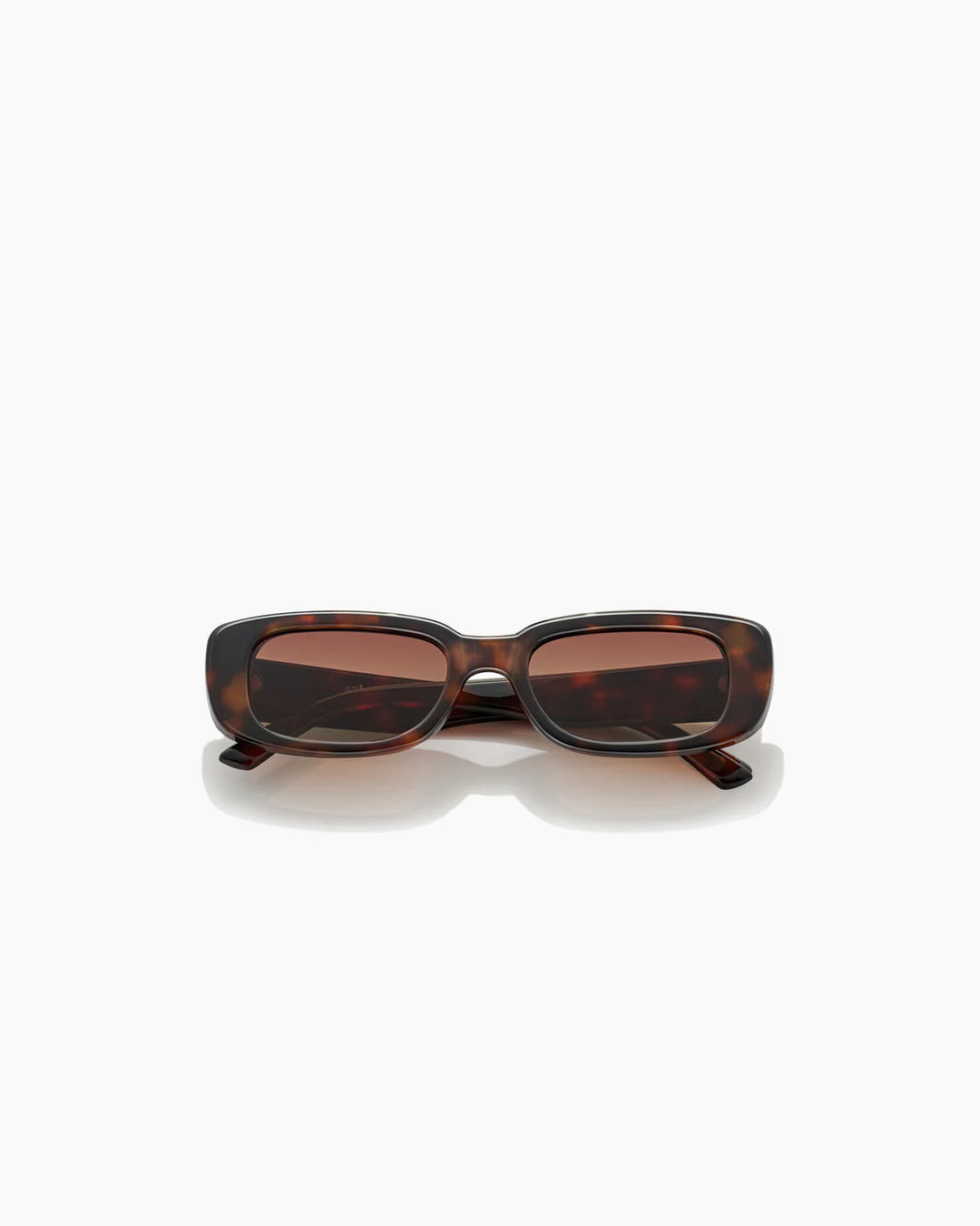 SZADE-DOLLIN-Cape tortoise-Dune